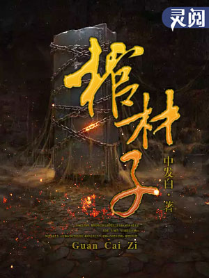 小说：棺材子，作者：中发白