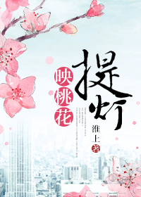 小说：提灯映桃花，作者：淮上