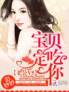 小说：老公V5：宝贝，吃定你！，作者：影妙妙