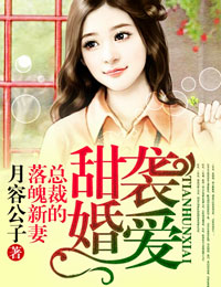 小说：甜婚袭爱，总裁的落魄新妻！，作者：月容公子