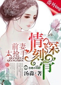 小说：情深刻骨，前妻太抢手，作者：汤淼