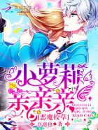 小说：我和总统有场恋爱！，作者：吾也也