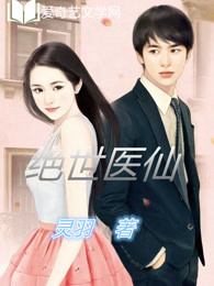 小说：绝世医仙，作者：灵羽