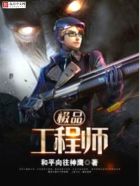 小说：极品工程师，作者：和平向往神鹰