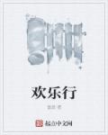 小说：欢乐行，作者：富翁