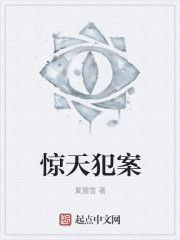 小说：惊天犯案，作者：夏霜雪