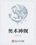 小说：奥术神舰，作者：溪岸鹿
