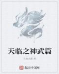 小说：天临之神武篇，作者：东皇太壹