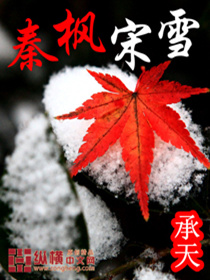 小说：秦枫宋雪，作者：承天