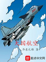 小说：大国航空，作者：华东之雄