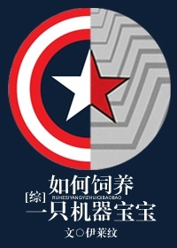 小说：[综]如何饲养一只机器宝宝，作者：伊莱纹