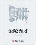 小说：金陵秀才，作者：有间和窗
