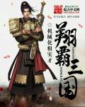小说：翔霸三国，作者：机械化粗实才
