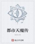 小说：都市天魔传，作者：夜安息