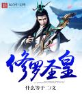 小说：修罗圣皇，作者：什么等于二