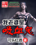 小说：我老婆是吸血鬼，作者：可乐红酒