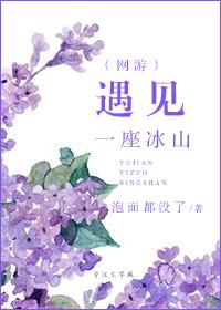 小说：遇见一座冰山（网游），作者：泡面都没了