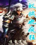 小说：蚁贼也疯狂，作者：追雪逍遥