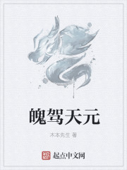 小说：魄驾天元，作者：木本先生