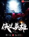 小说：侠义英雄，作者：林一乂