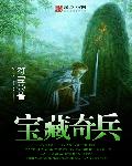 小说：宝藏奇兵，作者：符宝