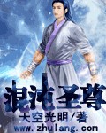 小说：混沌圣尊，作者：天空光明