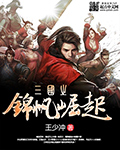 小说：三国之锦帆崛起，作者：王少冲