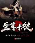 小说：至尊卡徒，作者：苍天有命