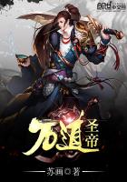 小说：万道圣帝，作者：苏画