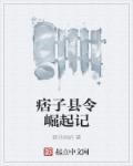 小说：痞子县令崛起记，作者：野外蚂蚱