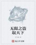 小说：无限之盗取天下，作者：梦无觞