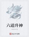 小说：六道升神，作者：炳炳有神