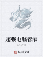 小说：超强电脑管家，作者：仙武大圣