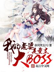 小说：我老婆是重生大BOSS，作者：奈何笑忘川