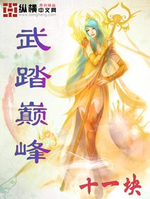 小说：武踏巅峰，作者：十一块