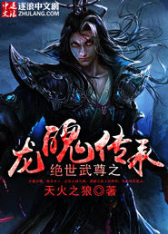 小说：绝世武尊之龙魄传承，作者：天火之狼