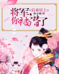 小说：后来居上：将军，你被潜了！，作者：夜小暖