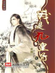 小说：我是九皇子，作者：文瀚小公子