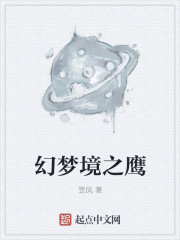 小说：幻梦境之鹰，作者：罡风