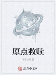 小说：原点救赎，作者：叶子小烟