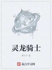 小说：灵龙骑士，作者：夏车丹