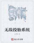 小说：无敌投胎系统，作者：北漂狼