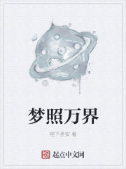 小说：梦照万界，作者：陛下圣安