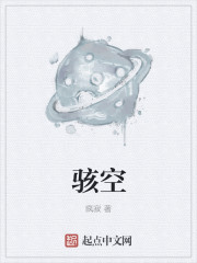 小说：骇空，作者：疯寂
