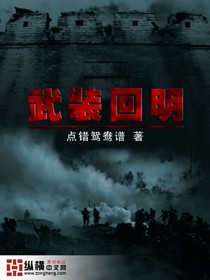 小说：武装回明，作者：点错鸳鸯谱