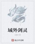 小说：域外剑灵，作者：沈精兵