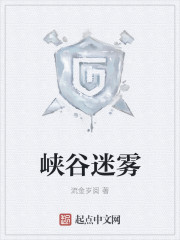 小说：峡谷迷雾，作者：流金岁阅