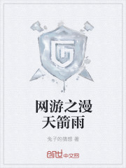 小说：网游之漫天箭雨，作者：兔子的猜想