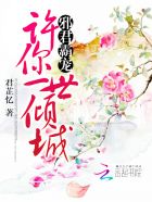 小说：邪君霸宠：许你一世倾城，作者：君芷忆