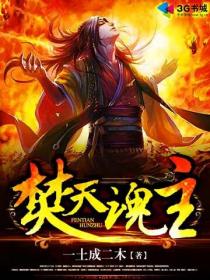 小说：焚天魂主，作者：一土成二木